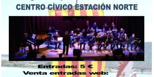 Concierto solidario