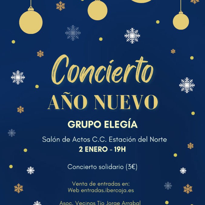 Concierto Año Nuevo - Grupo Elegía