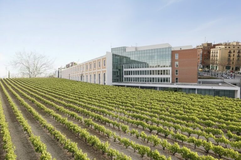 WhatsApp Image 2025-12-27 at 20.33.45